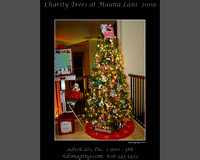 2009 Trees at the Mauna Lani